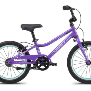 Ethos 20-Inch Purple Bike - Image 1