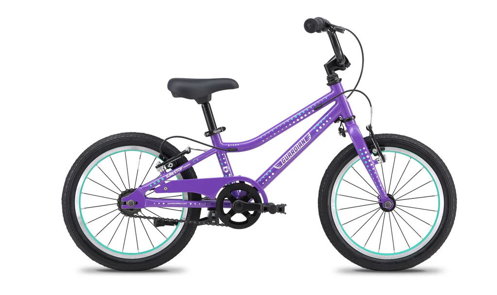 Ethos 20-Inch Purple Bike